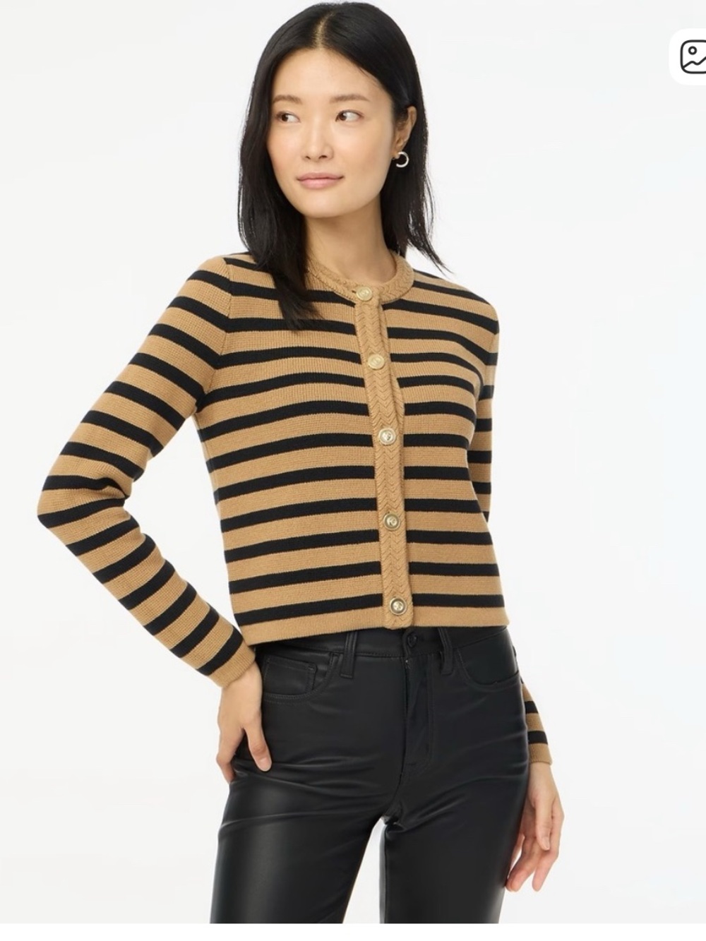 J. Crew Factory Striped Cardigan in Tan and Black